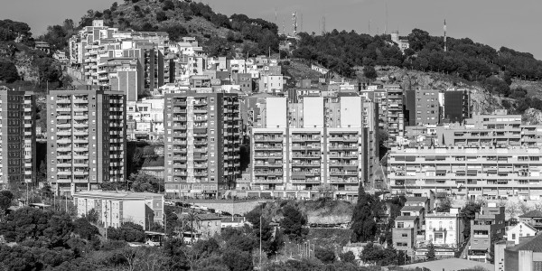 Redacción / Ejecución de Testamentos en Lleida · Derechos del Cónyuge Viudo en Herencias